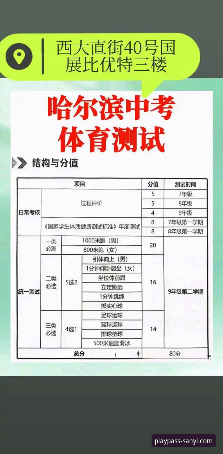 三亿体育手机版 资深用户分享:三亿体育手机版App使用心得与2026新版实战经验